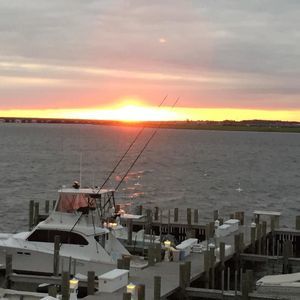 Meet your Posher, Wendy